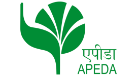 apeda-logo-768x427